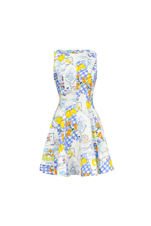 Julieta Sleeveless A-Line Dress