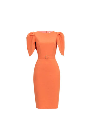 Beatriz Tulip Sleeve Belted Sheath Vestido - Reina Diaz