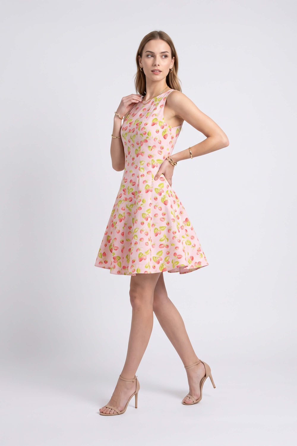 Julieta Sleeveless A-Line Dress 723175 ROS - Reina Diaz