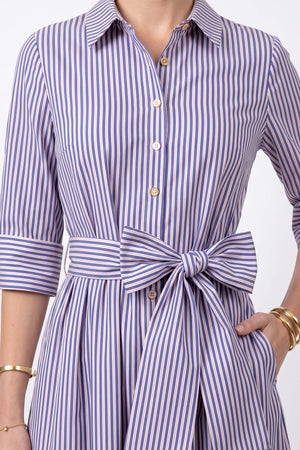 Regina Striped Belted Camisero Vestido 723108AZU - Reina Diaz
